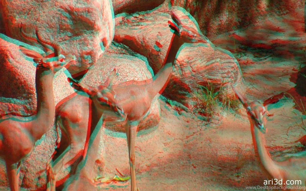 Free 3D Stereo Desktop Wallpapers