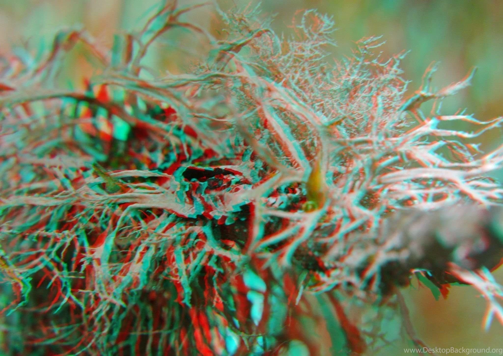 Anaglyph Cars Glasses Nature Wallpapers