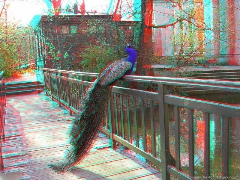 Red Cyan Anaglyph Stereo Images Favourites By DouglasHumphries On ...