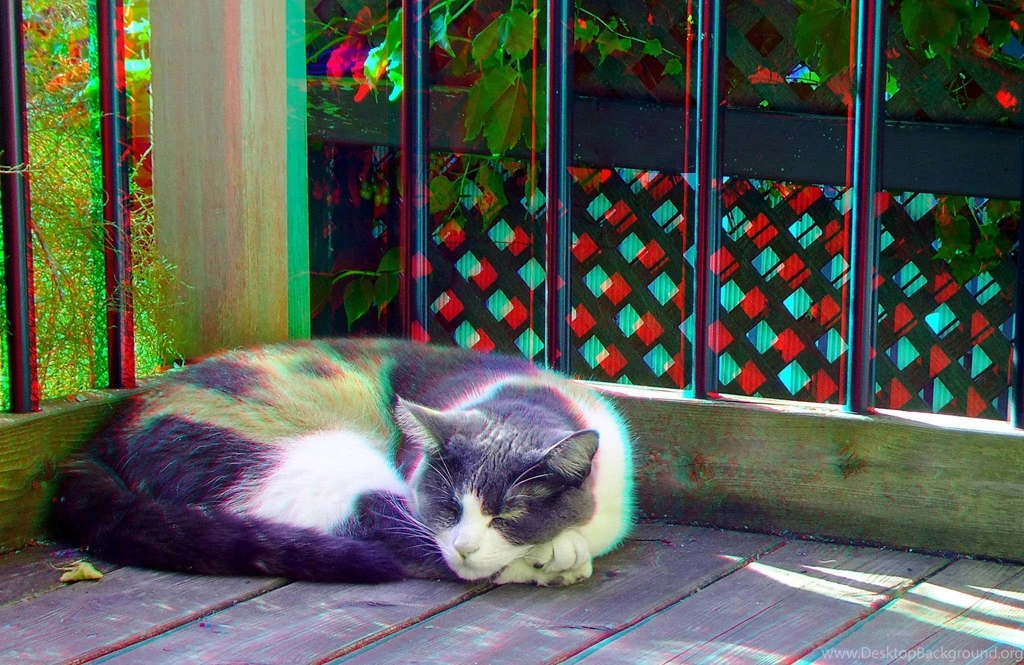 Wallpapers Anaglyph 3d Wallpapers 1024x768 Anaglyph 3d Anaglyph Hd ...