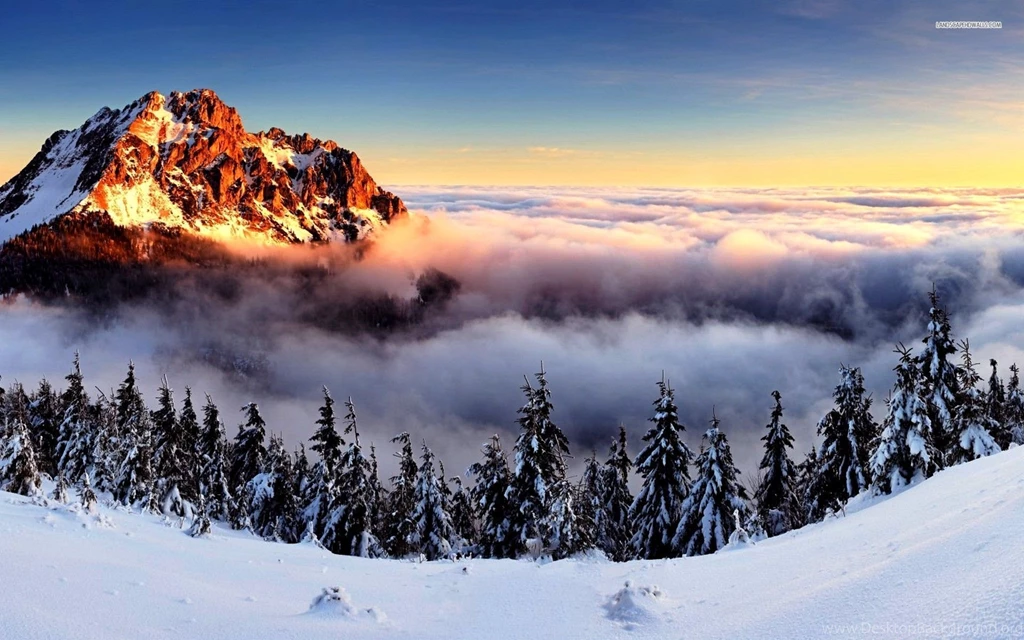 Winter Fog In The Snowy Mountains Wallpapers