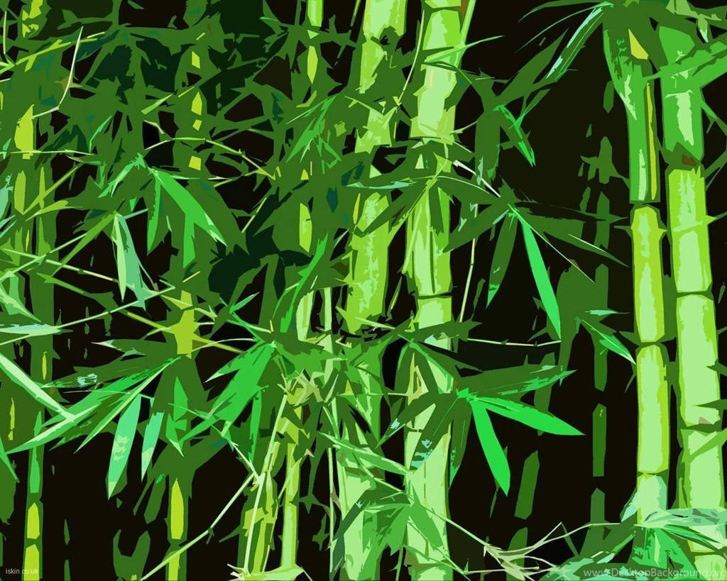 Bamboo Graphic Desktop Wallpapers