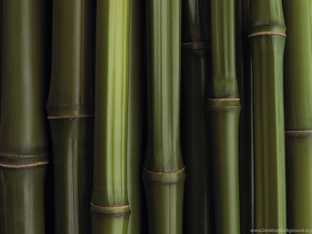Wallpapers: Bamboo Wallpapers