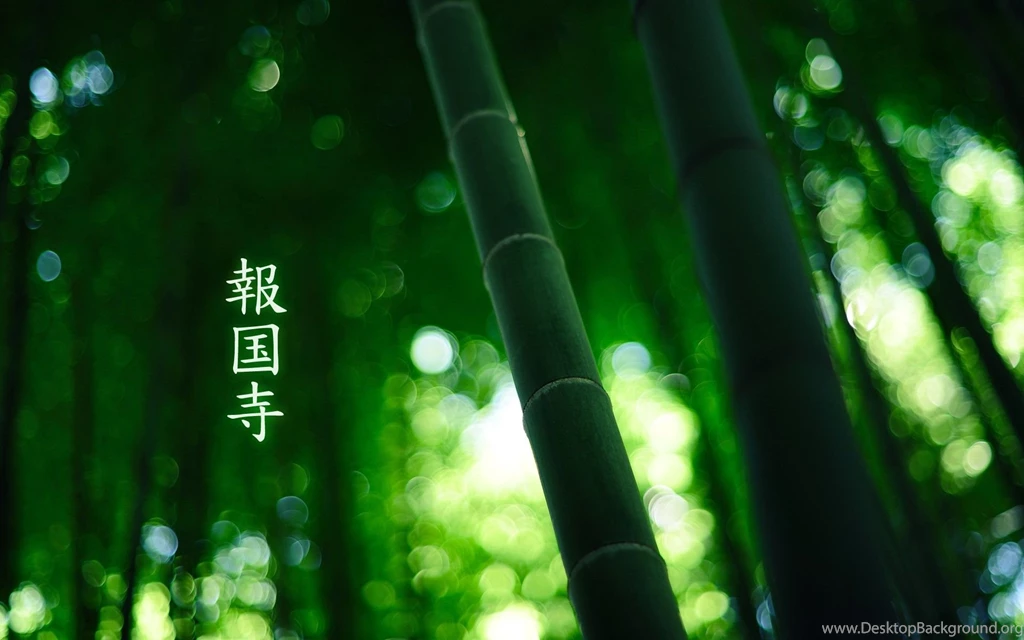 Green Bamboo Wallpapers 158450