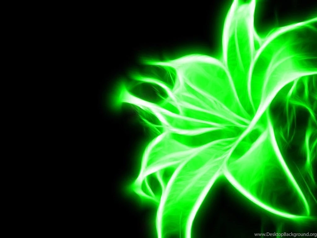 Neon Green Photo HD Wallpapers For Desktop Popomypics.com