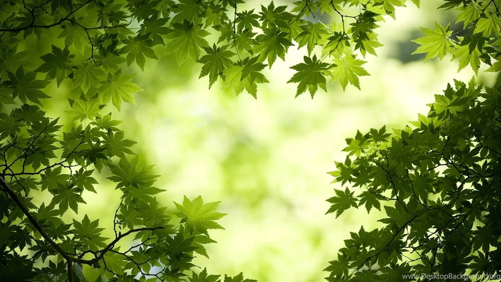 Green 1920x1080 Wallpapers, 1920x1080 Wallpapers & Pictures Free ...