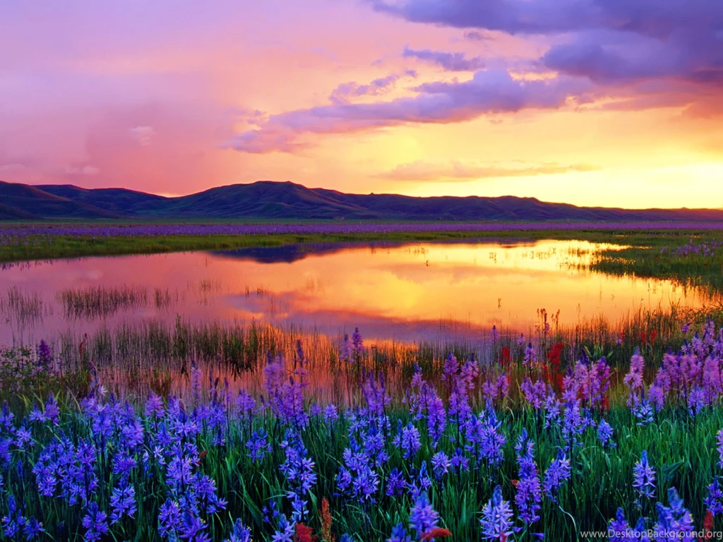 Camas Prairie Landscape Idaho Wallpaper, Conservative's National ...