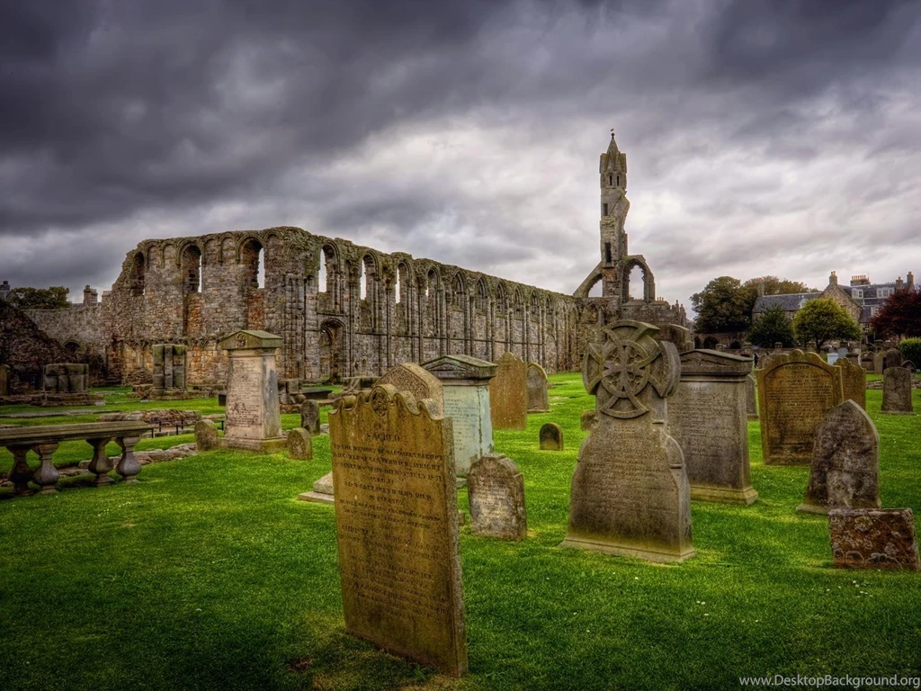 Funny Scottish Images HD Wallpapers And Pictures
