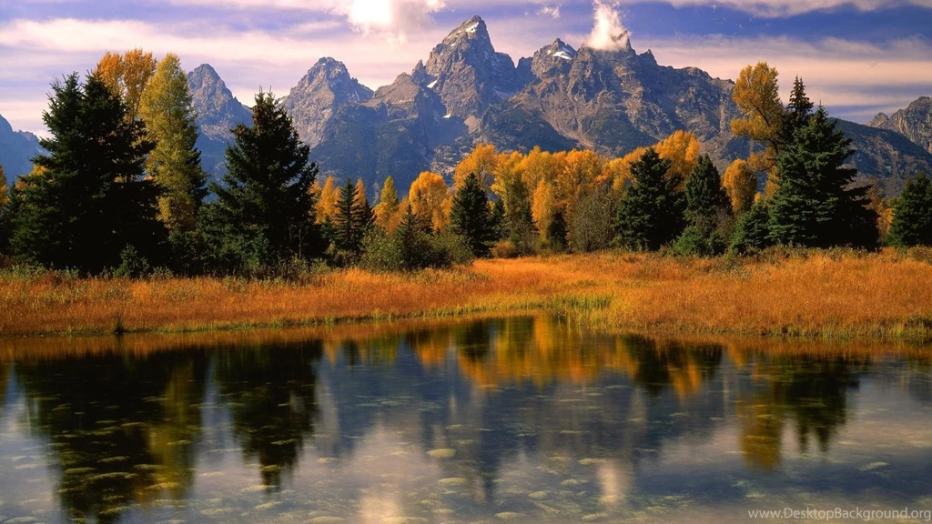 Download Wallpapers 1920x1080 Scotland, Lake, Autumn, Wood, Trees ...