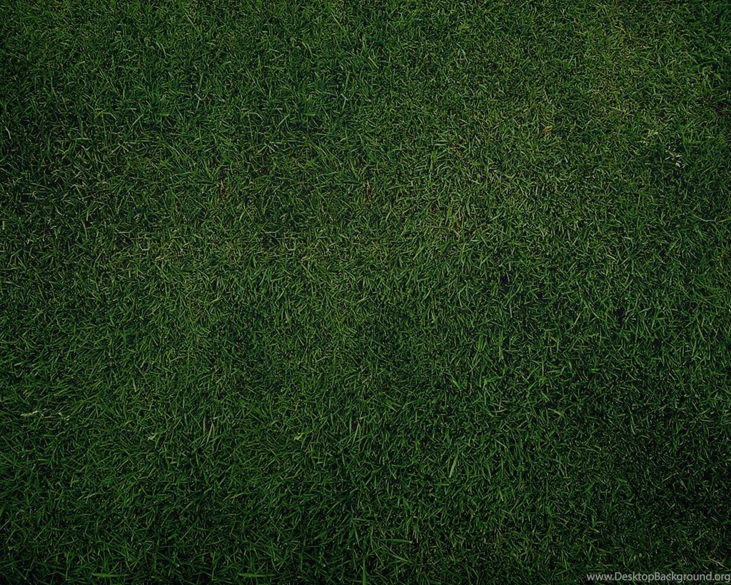 Full HD Wallpapers + Backgrounds, Grass, Green