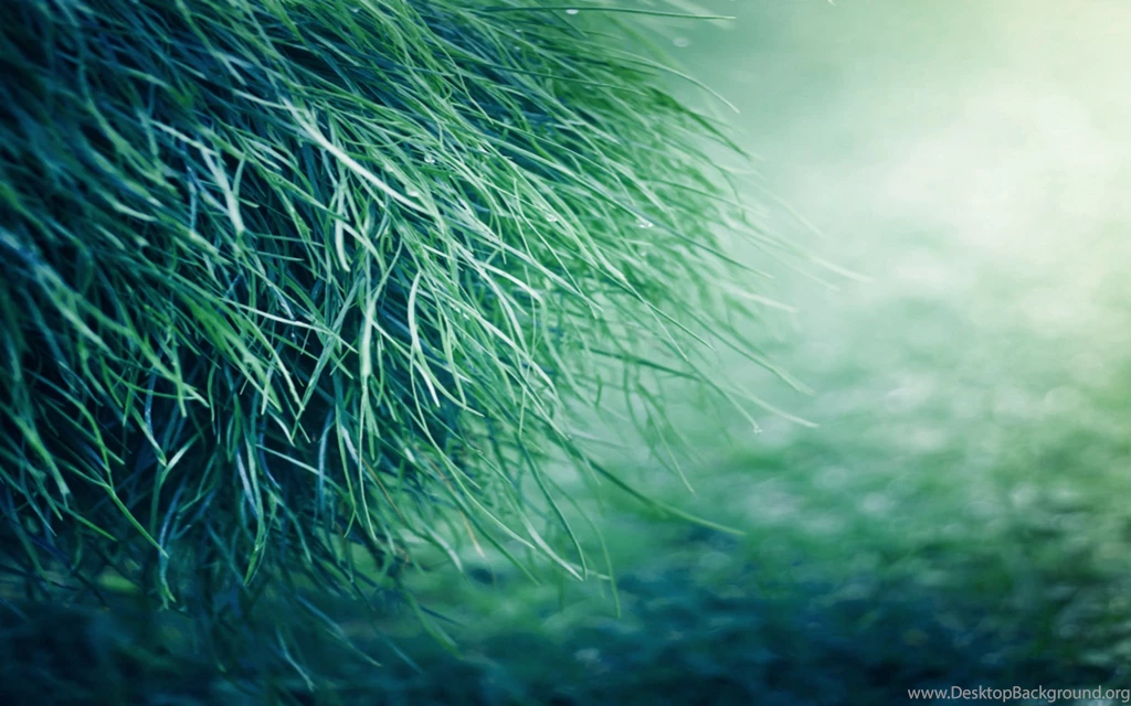 Pure Grass Wallpapers