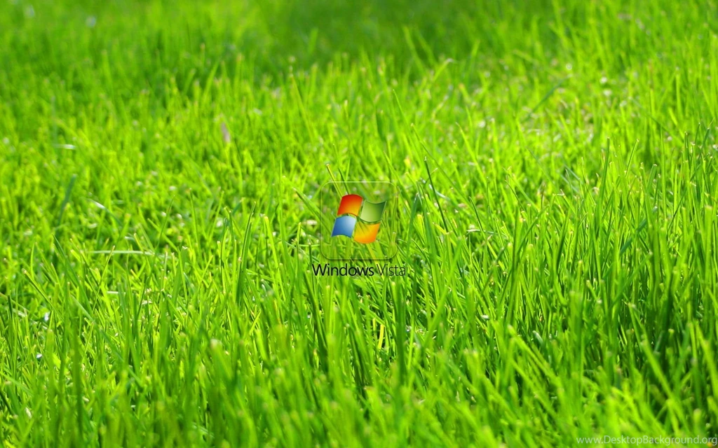 Green Grass 2015 Grasscloth Wallpapers