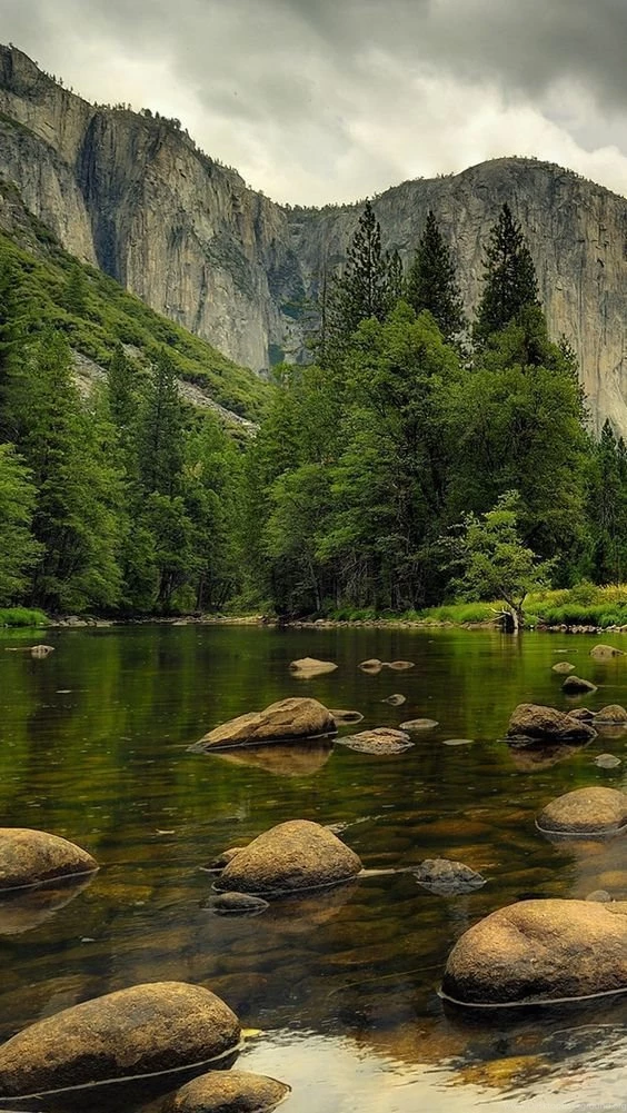 Beautiful Nature iphone 5 wallpaper ilikewallpaper_com.jpg (640 ...