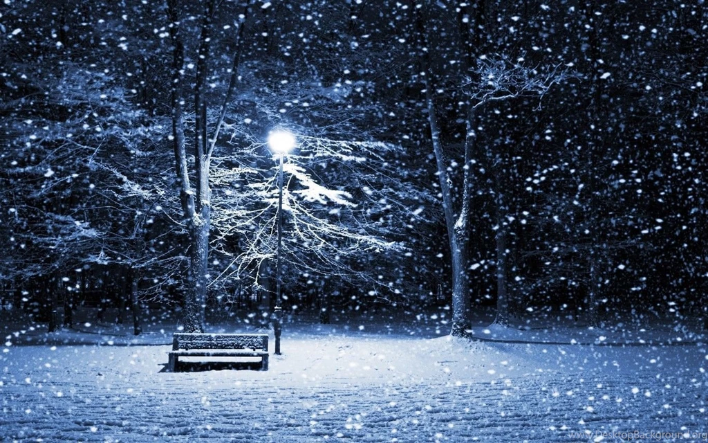 Snow Tree Wallpapers 2015 Grasscloth Wallpapers
