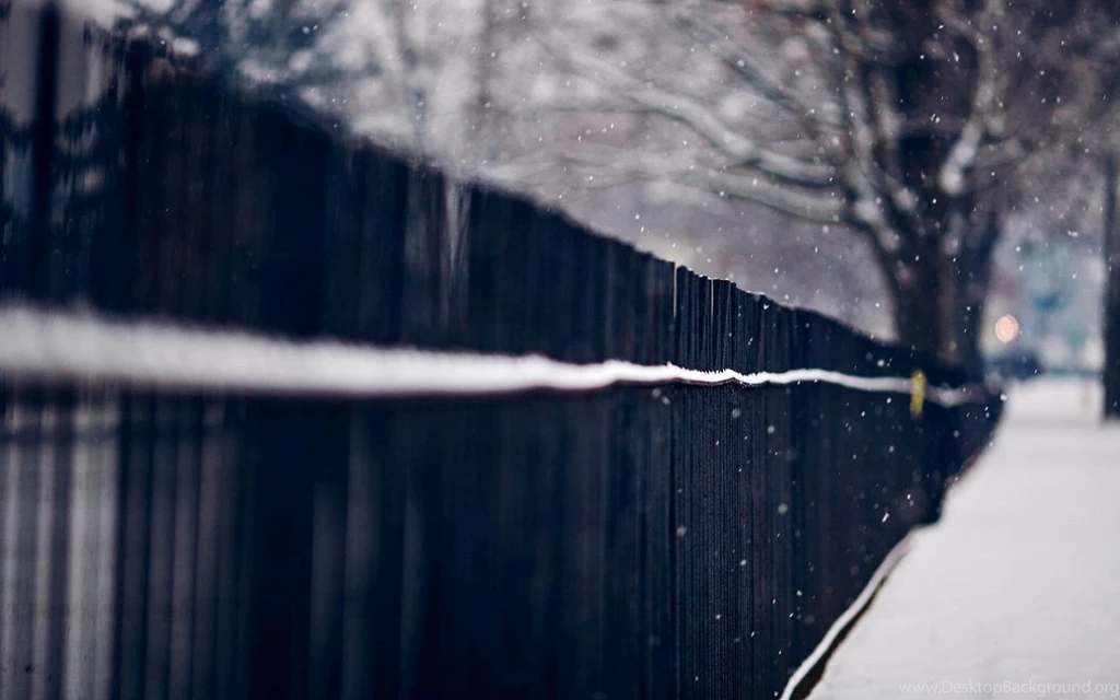 Beautiful Girl, Jacket, Blogger Fashion, Winter, Snow, Hd, Wallpapers