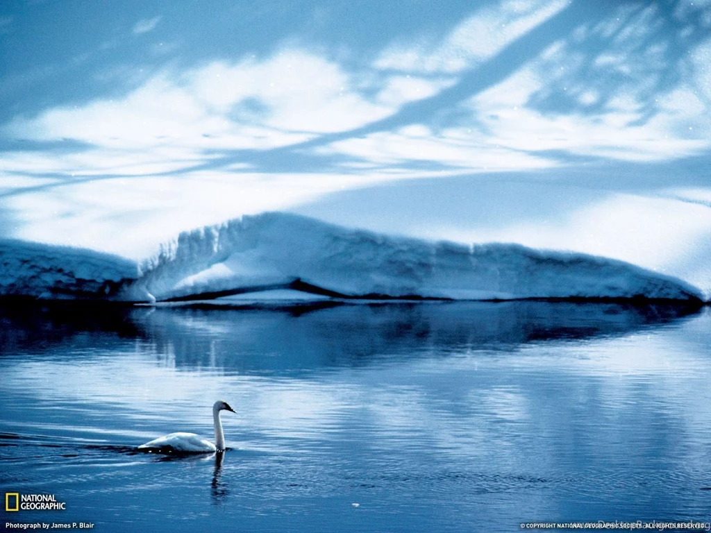 Fresh Nature High Quality Wallpapers