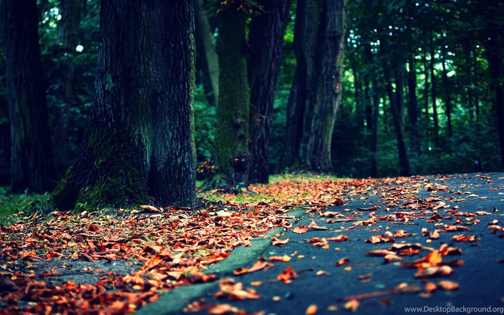 35+ Vintage Photography Wallpapers