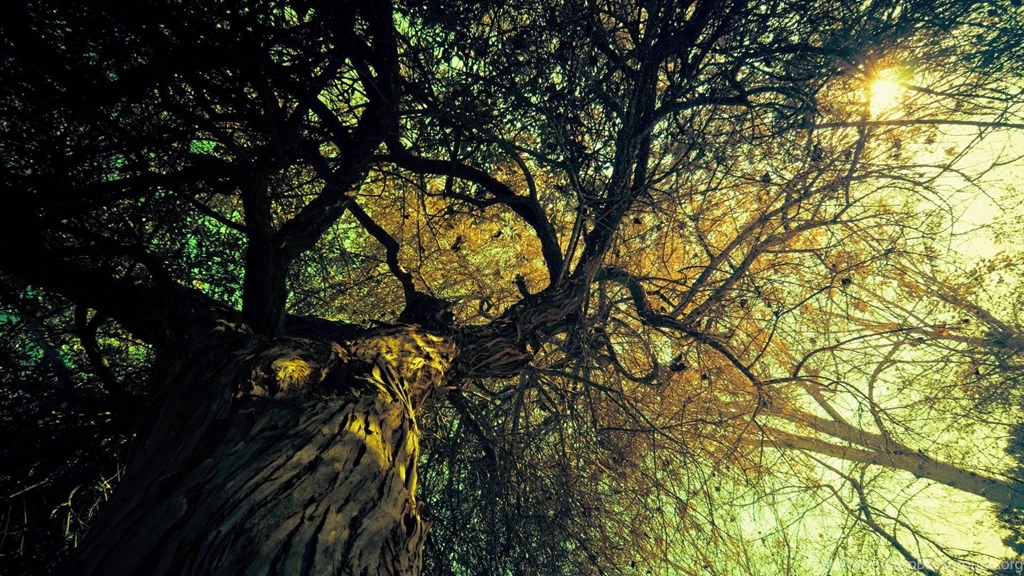 Vintage HD Wallpapers