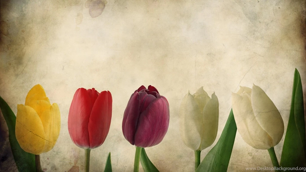 Vintage Flowers Wallpapers