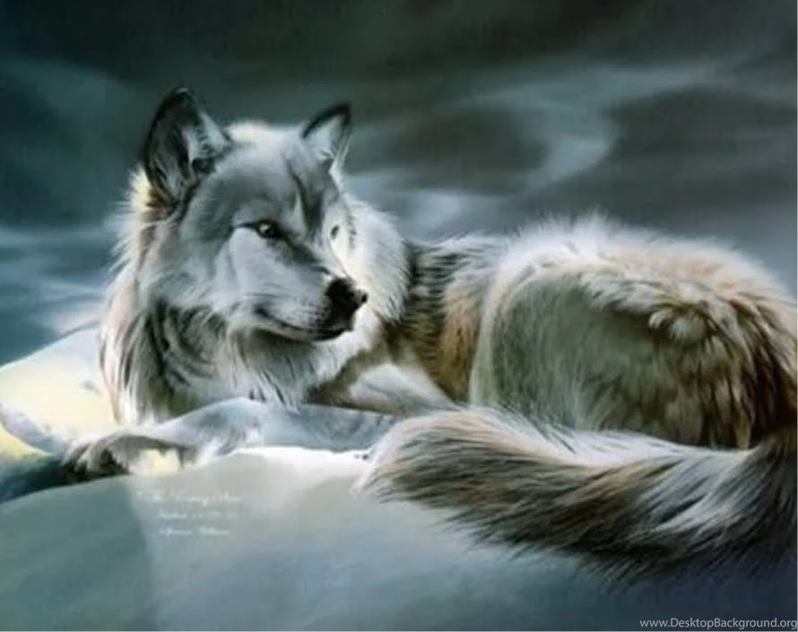Wolf Anime Wallpapers