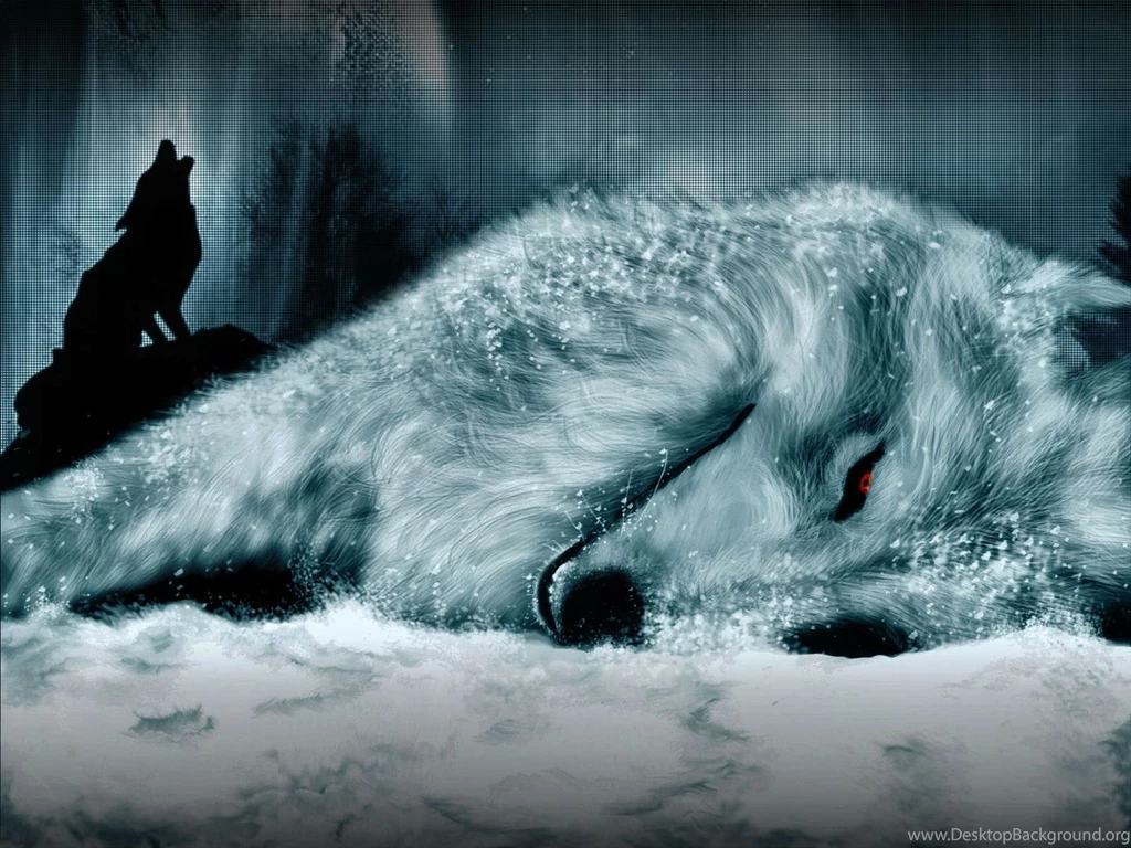 803 Wolf HD Wallpapers