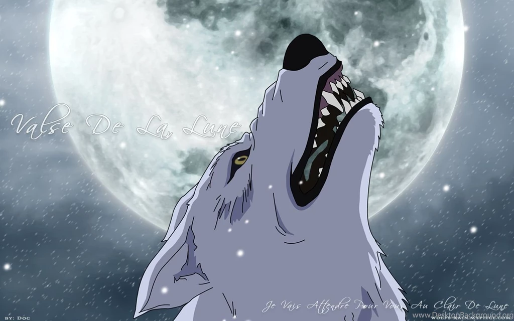 19 Wolf's Rain HD Wallpapers
