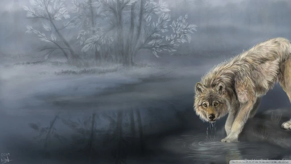 Wolf Drinking Water Painting HD Desktop Wallpapers : High ...