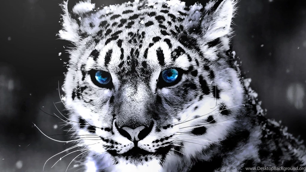 White Tiger Wallpapers Wallmanage.com