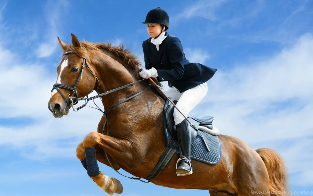 9 Show Jumping HD Wallpapers