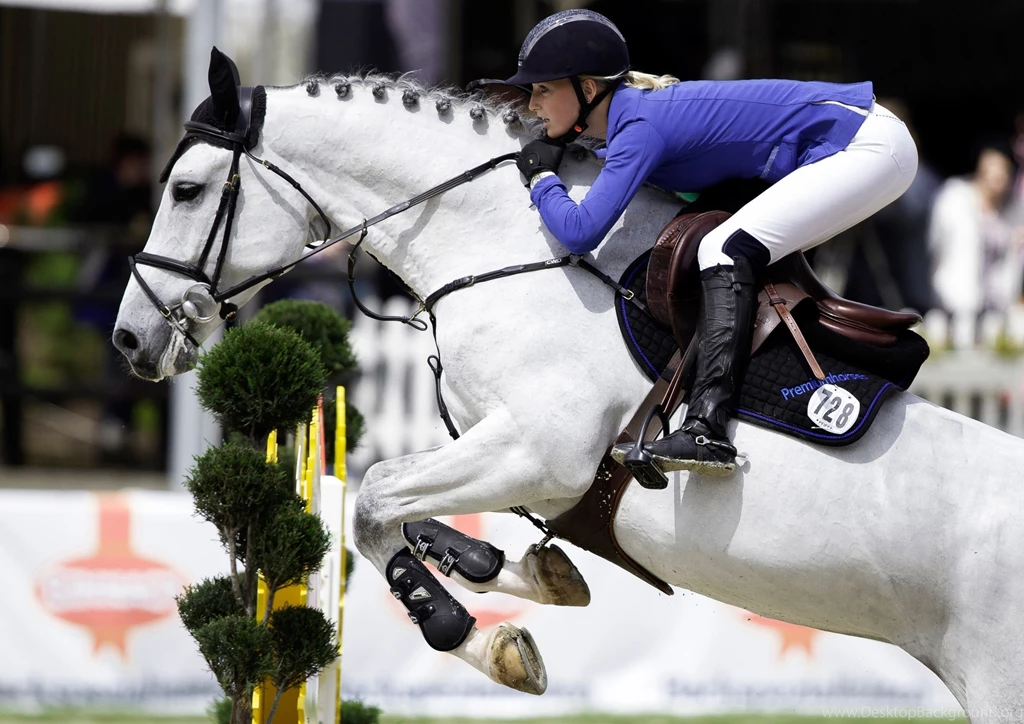 9 Show Jumping HD Wallpapers