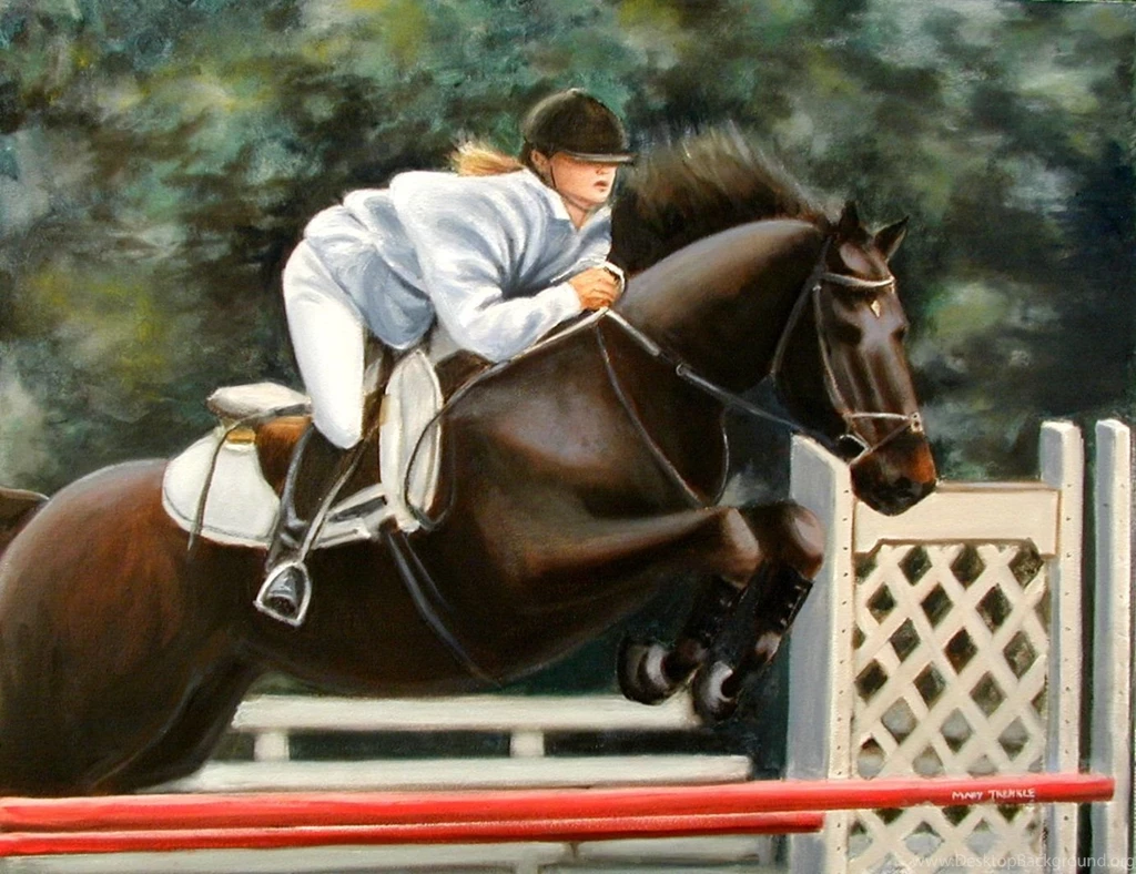 Top Jumping Horse Computer Wallpaper Images For Pinterest