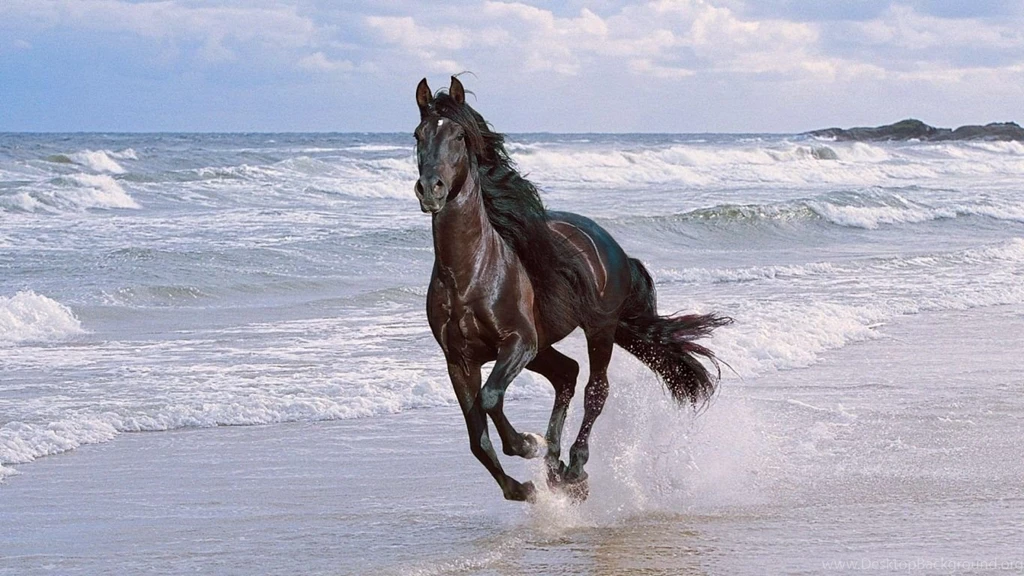 Download Wallpapers 1366x768 Horse, Running, Spray, Beach, Jump ...