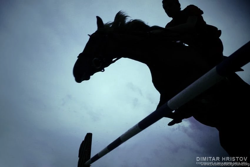 Rider On Horse Jumping   54ka [photo Blog]