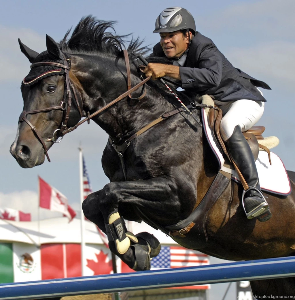 HD Animals Wallpapers: Black Horse Jumping Pictures