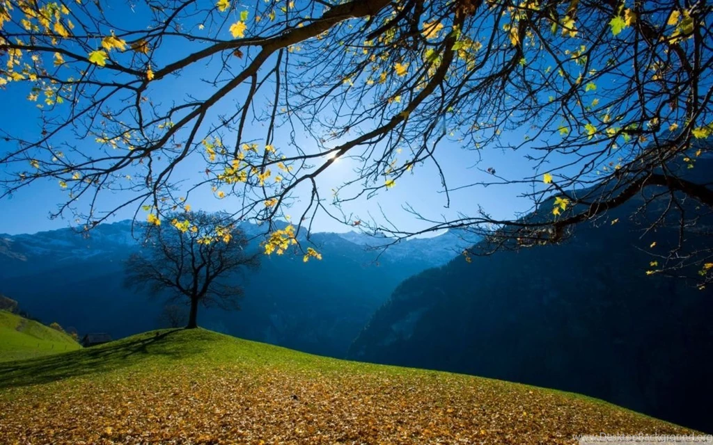 Autumn Schachental Switzerland Wallpapers