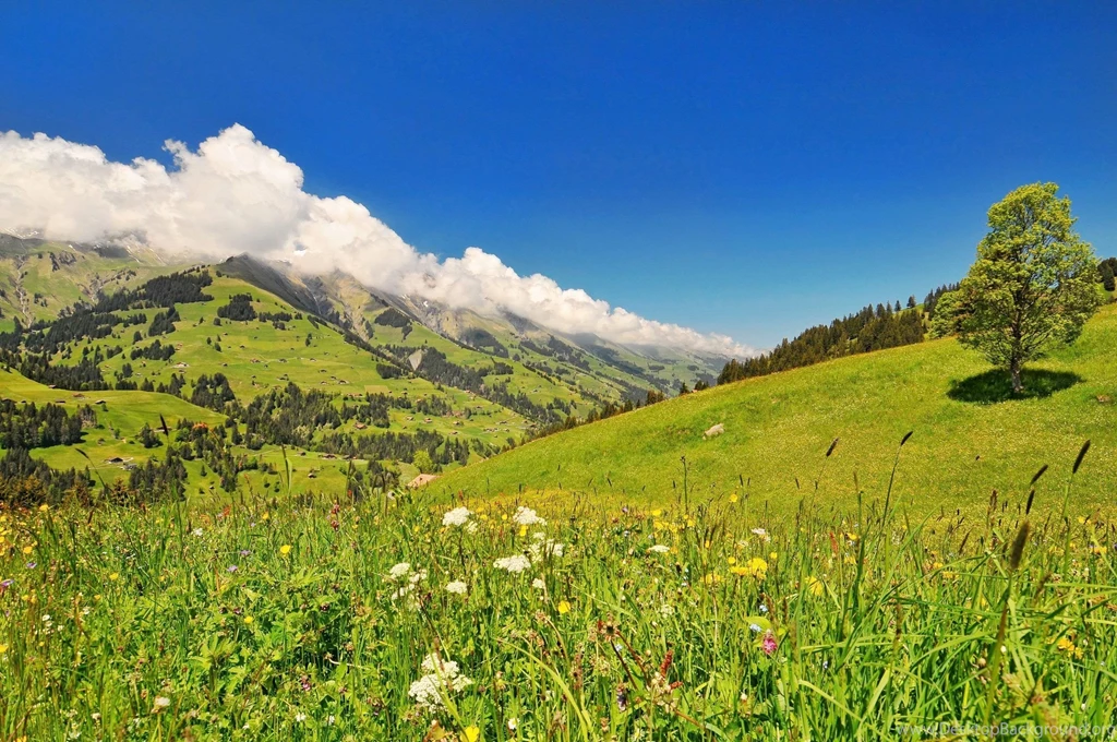 Hill, Switzerland