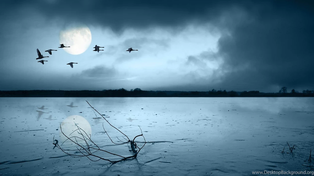 Free 1080p Wallpapers