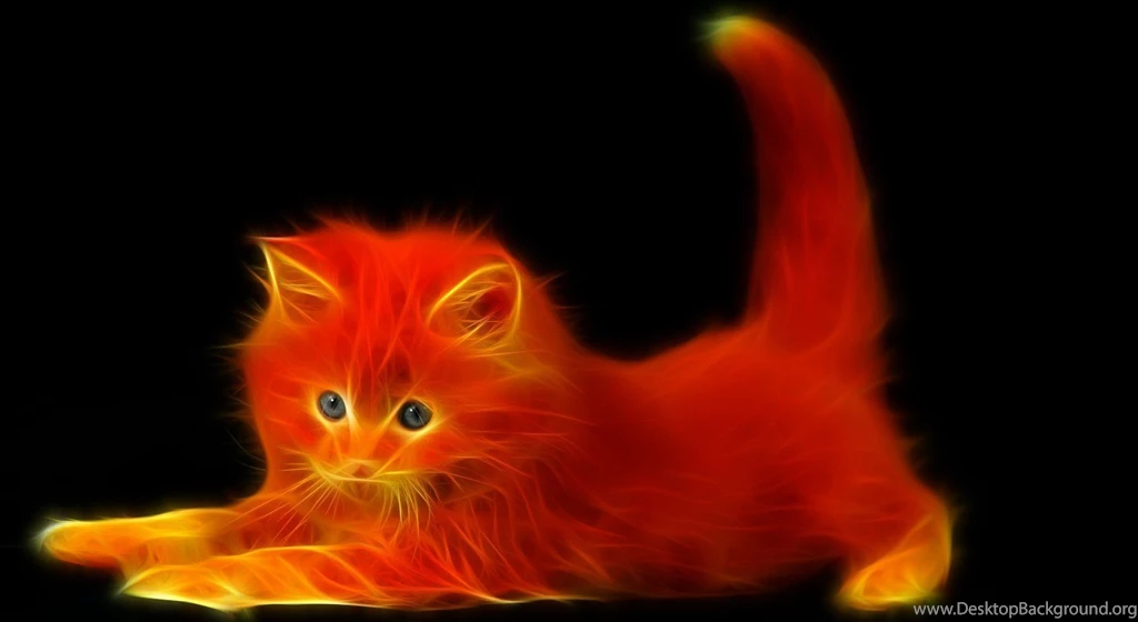 Download Fire Cat Wallpapers
