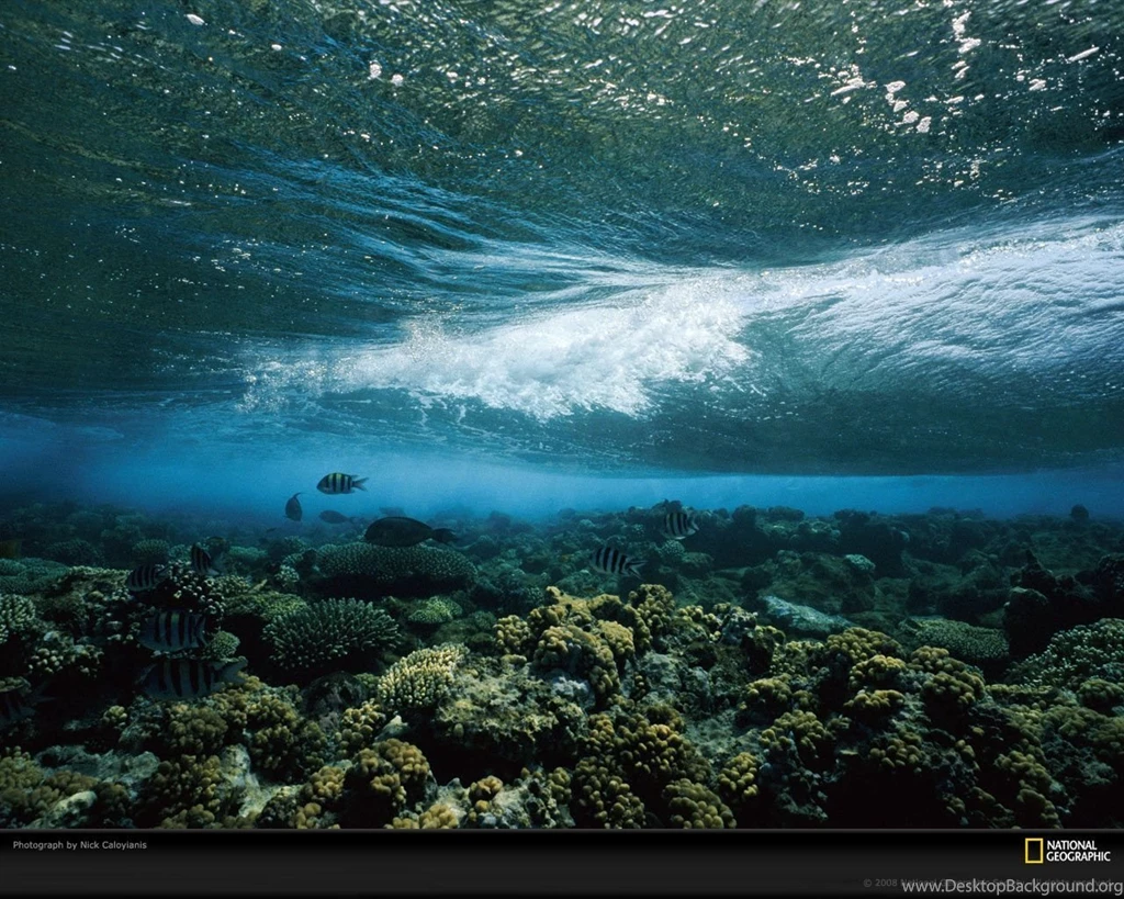 18452_1280x1024 wallpaper cb1271166936.jpg