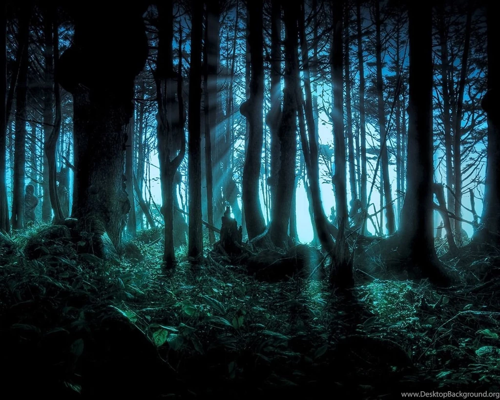Mysterious Forest Wallpapers 1280x1024 Wallpapers Download ...