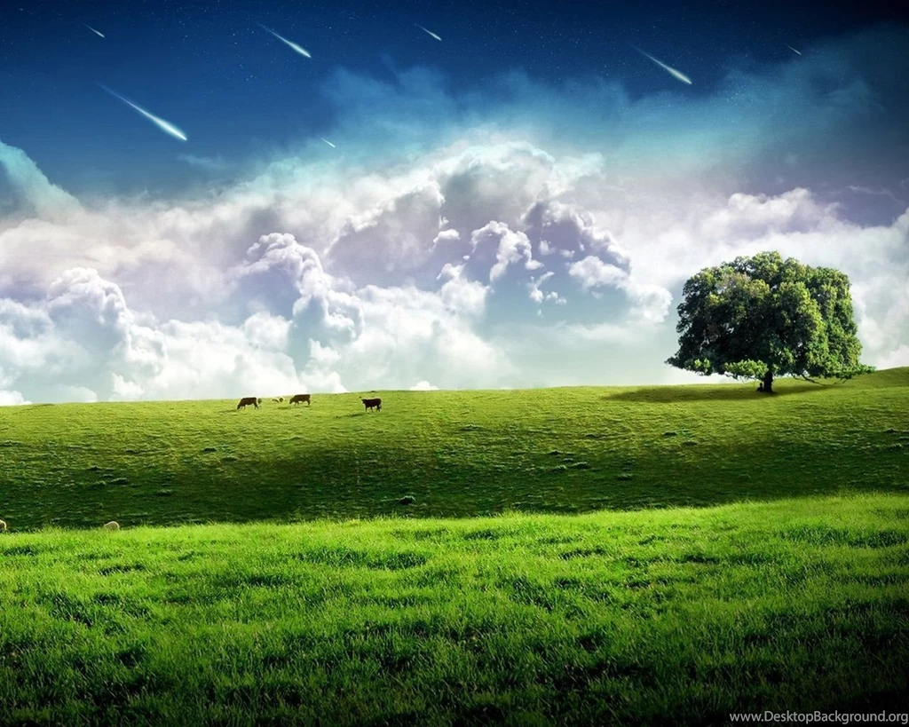 Meteor Across The Sky, Green Grass Wallpapers