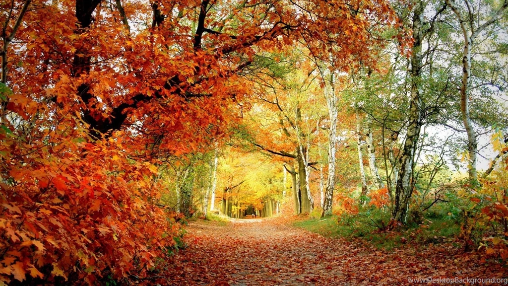 Autumn Breeze Photos