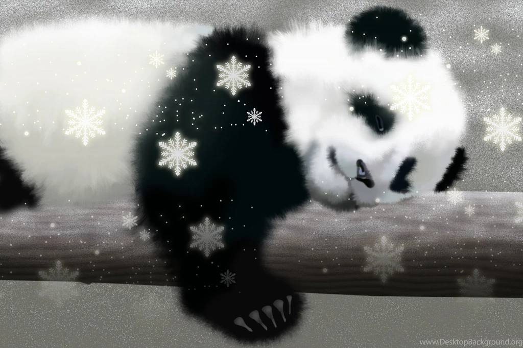Cute Panda Wallpapers