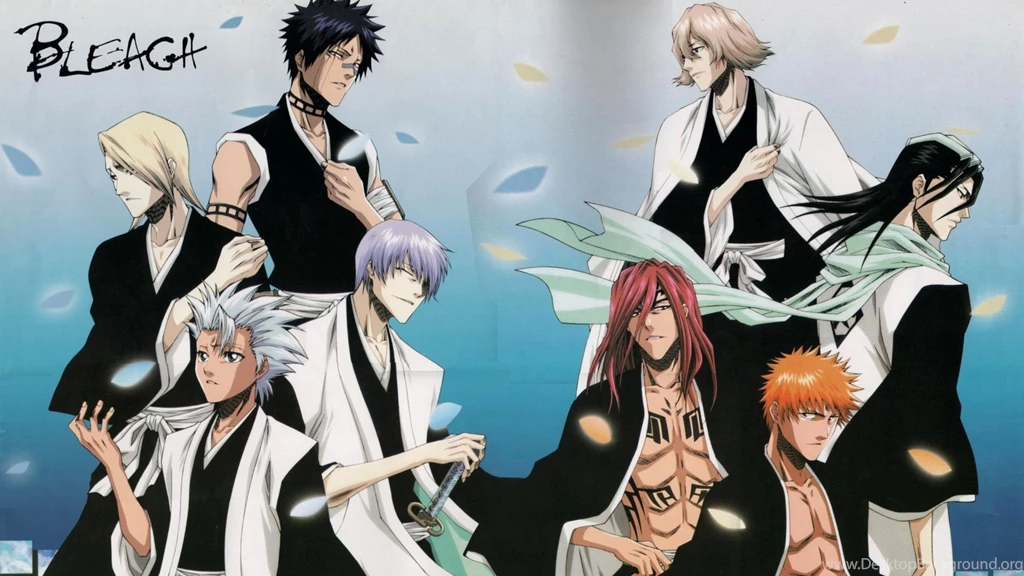 Download Bleach Characters Anime Wallpapers 1920x1080
