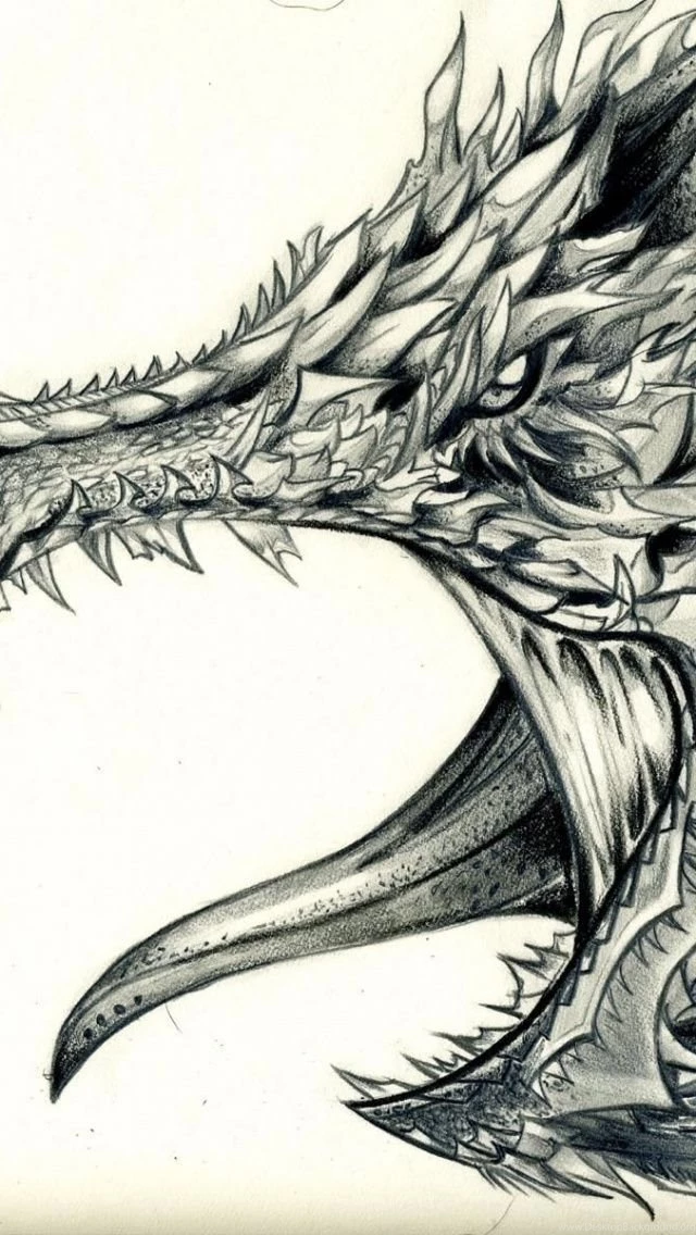 Dragon Drawing iPhone 5 Wallpapers