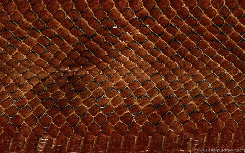 2560x1600 Leather, Texture, Animal Texture, Backgrounds On Your ...