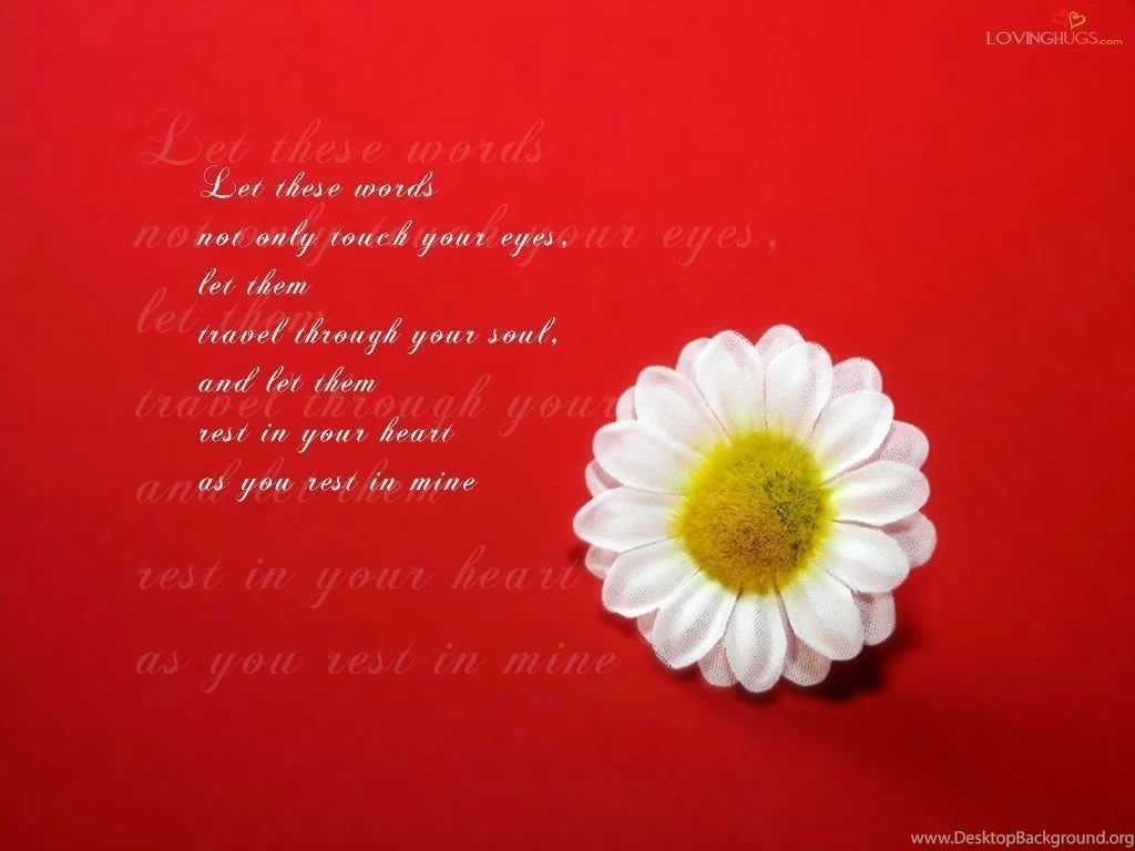 Love Wallpapers Lovers Point