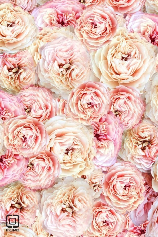 An Easter Treat: Spring Wallpapers 2013