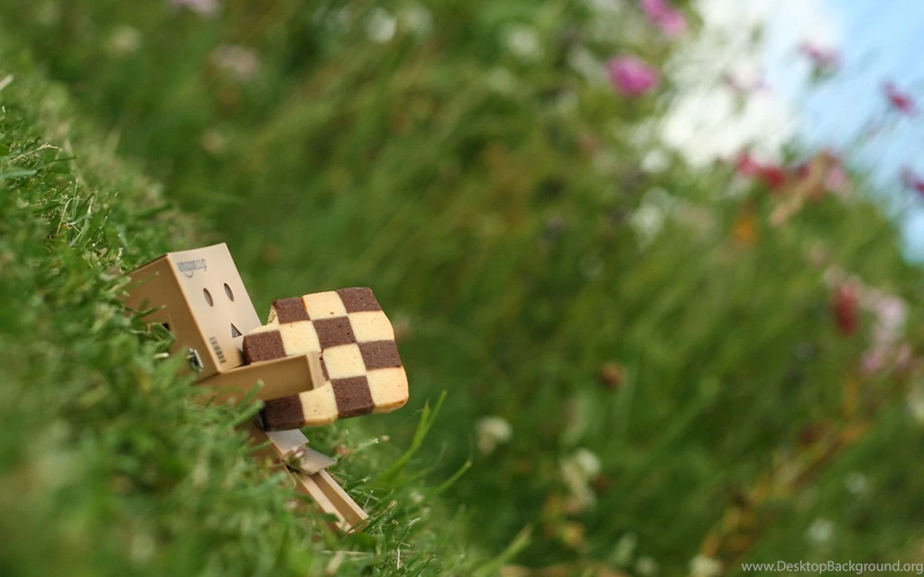 Download Grass Danboard Wallpapers 1920x1200