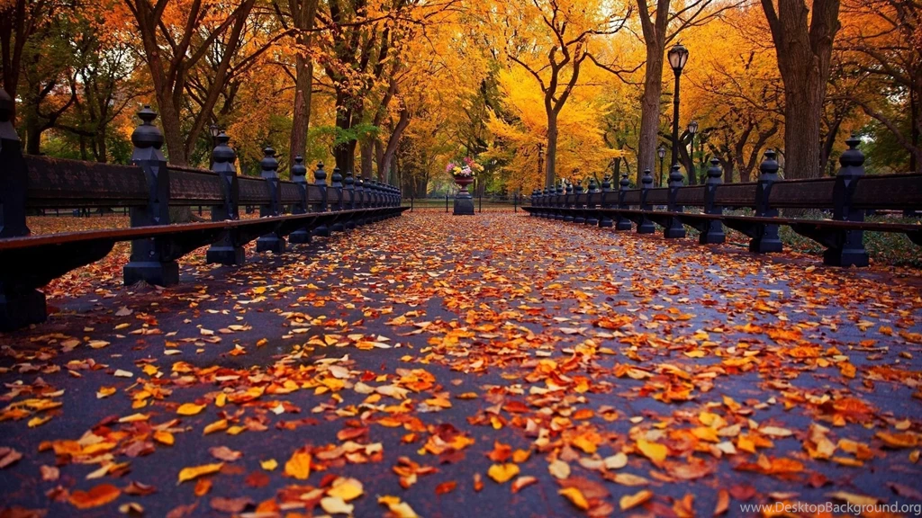 Fall HD Cute Wallpapers Free HD Wallpapers   Download Fall HD Cute ...